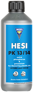 HESI PK 13/14