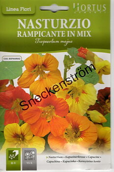 Indiankrasse  "Nasturzio Rampicante in mix"
