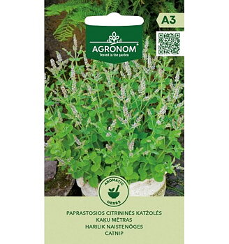  Citronkattmynta 