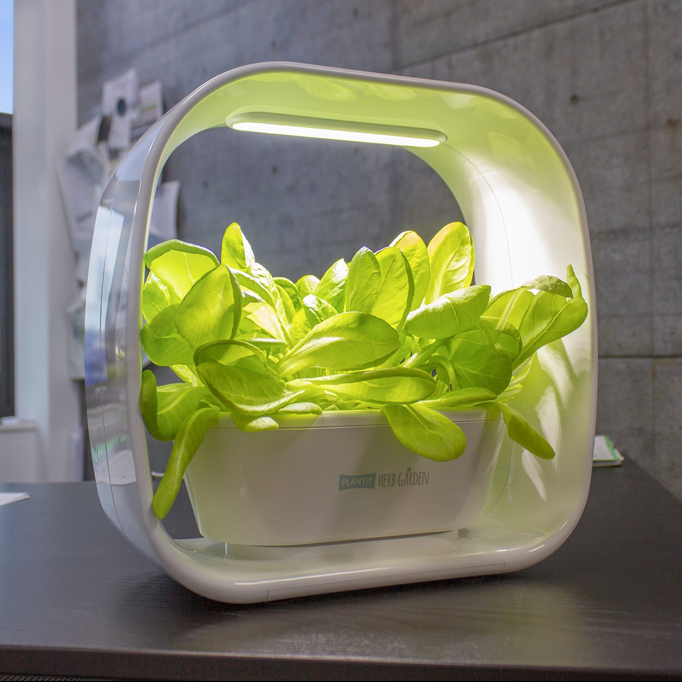 PLANT !T Herb Garden