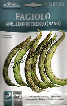 Dvärgböna  "Annellino di Trento"