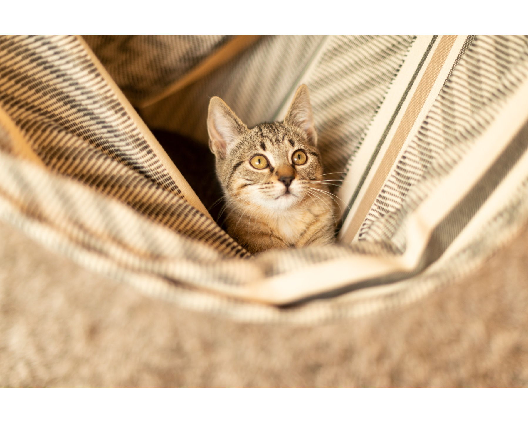 Habana Hammock Kingsize - 2