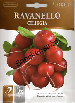 Rädisa "Ciliegia"
