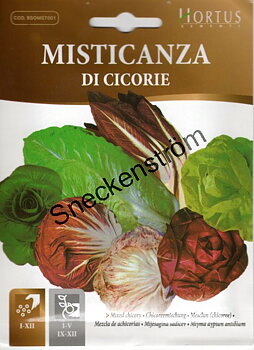 Salladsmix Cikoria  "Misticanza di Cikorie"