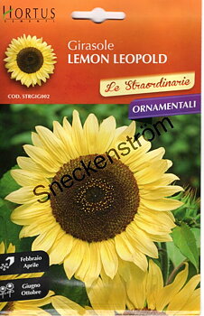 Solros "Girasole Lemon Leopold"