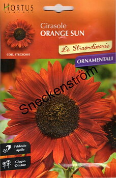 Solros "Girasole Orange Sun"