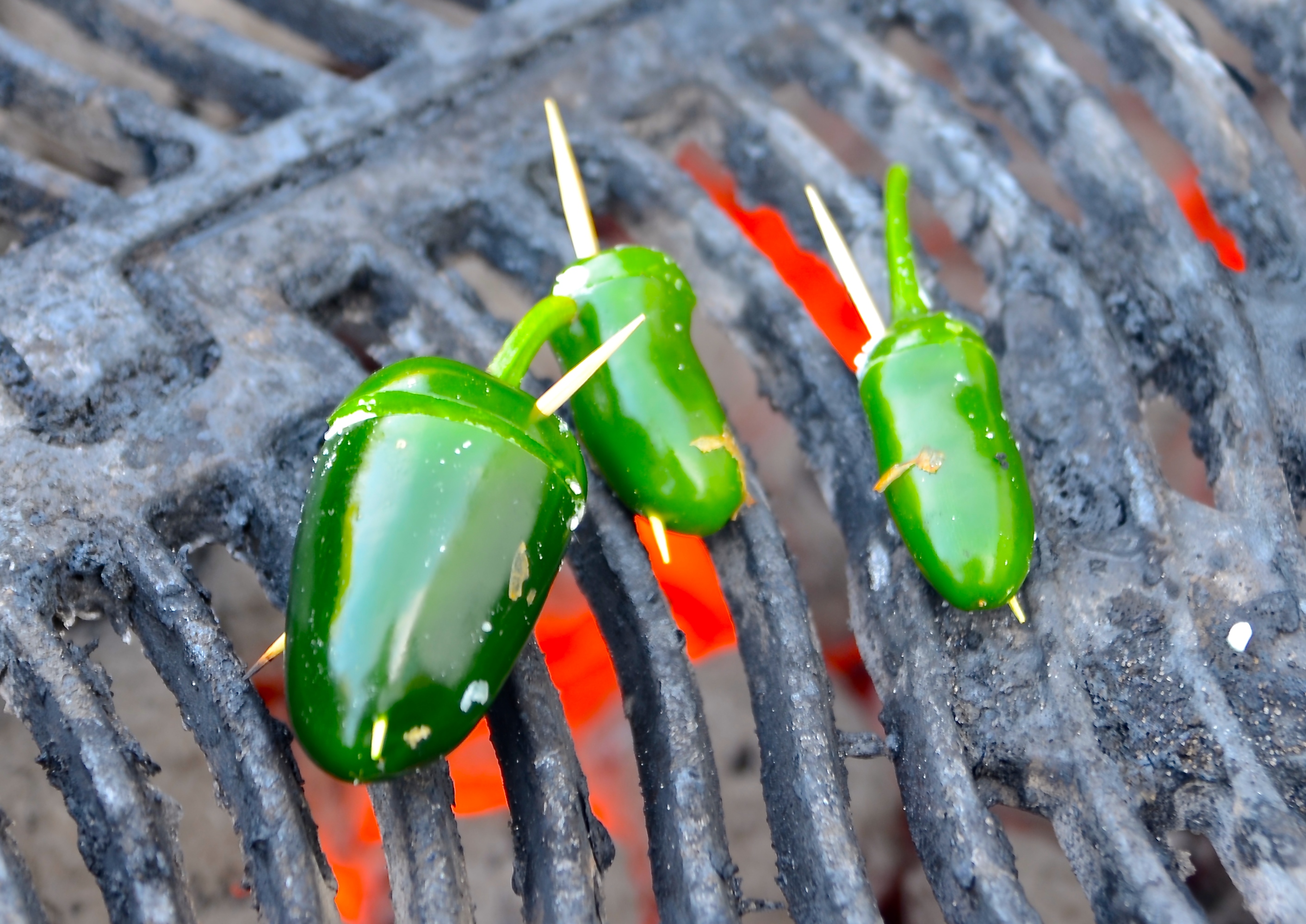Jalapeno - 3