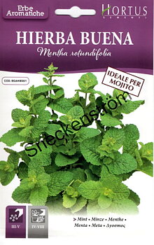 Mynta ( Mojito)