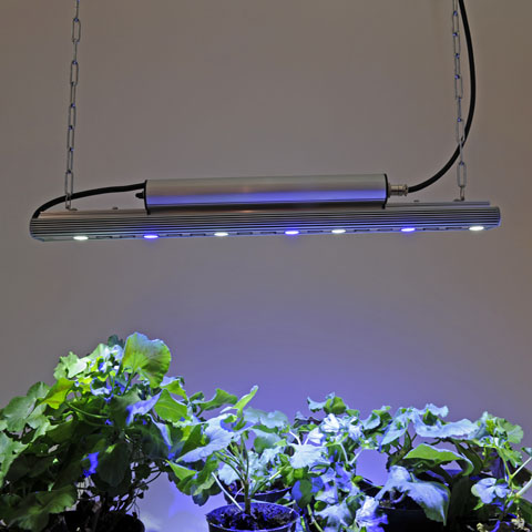 Växtarmatur Vinter 30W - 2