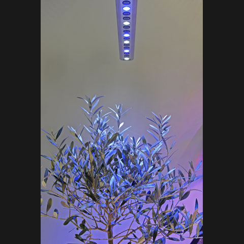Växtarmatur Vinter 30W - 3