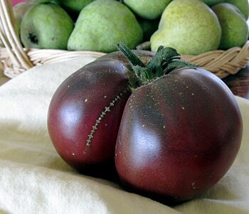 Tomat Black Brandywine – Mörk elegans med fantastisk smak
