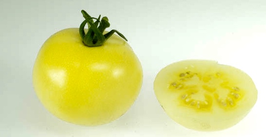 Tomat ‘Super Snow White’ – söt, mild och elegant
