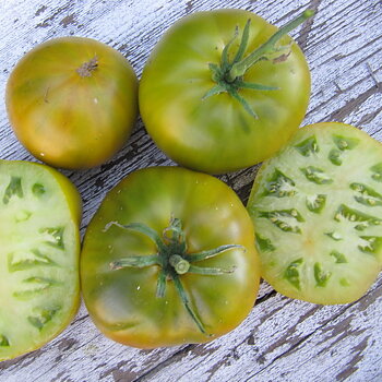 Cherokee Green