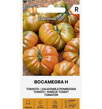 Tomat Bocanegra H - Premium högkvalitativ