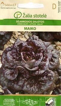 Sallat "Maiko"
