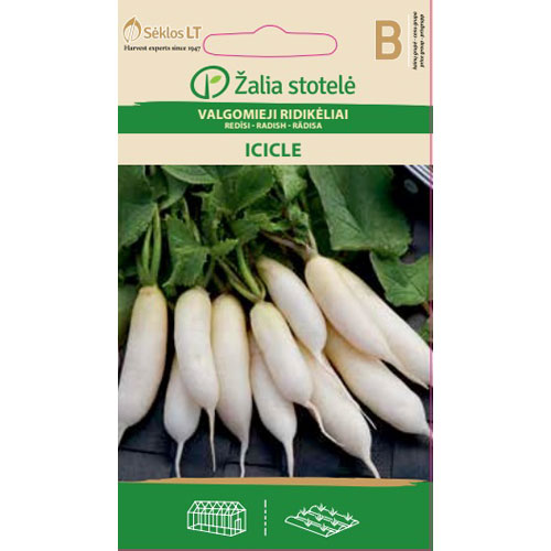 Rädisa White ICICLE - 2