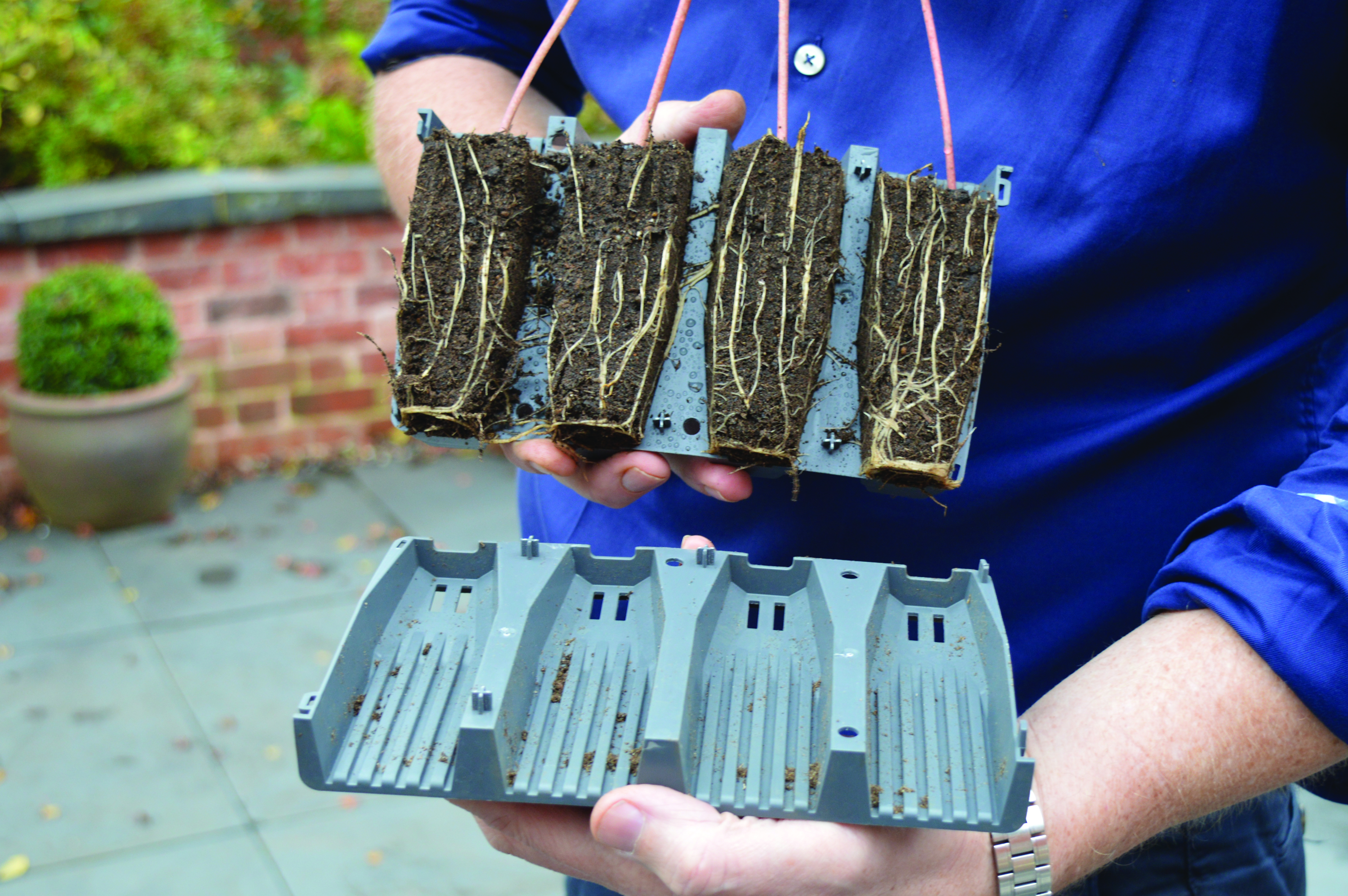 28 Cell Deep Root Success Kit - 4
