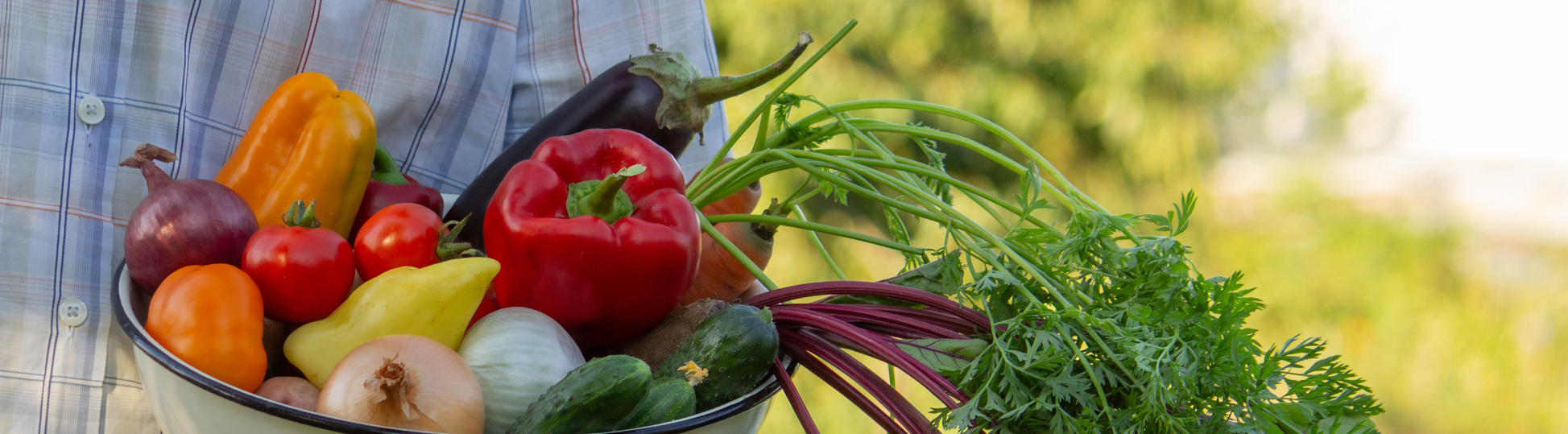 Välkommen till Sneckenström Produkter för att odla egna grönsaker Så  lite  bättre  -  Må lite bättre!