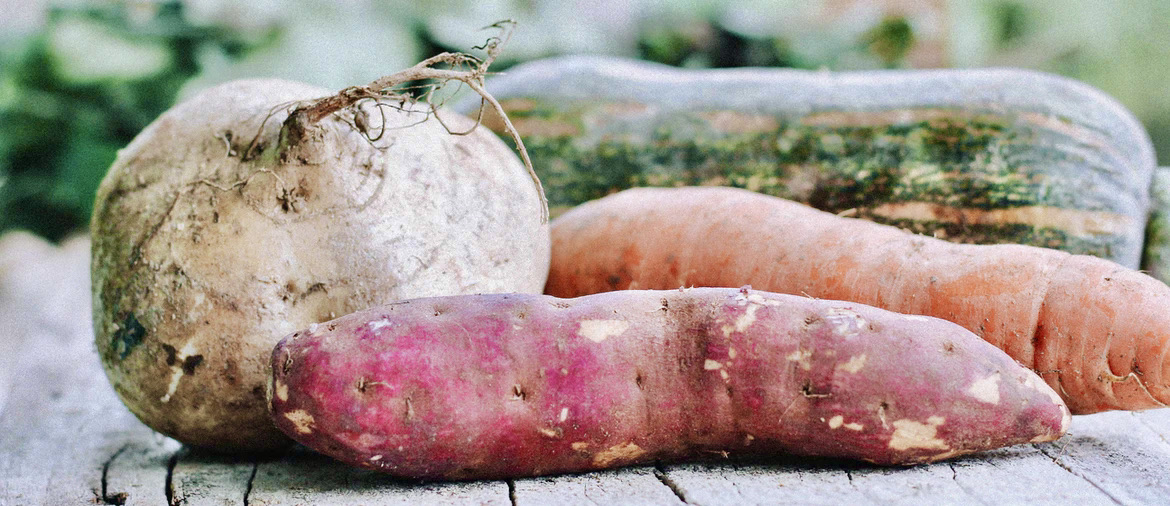 Rotfrukter