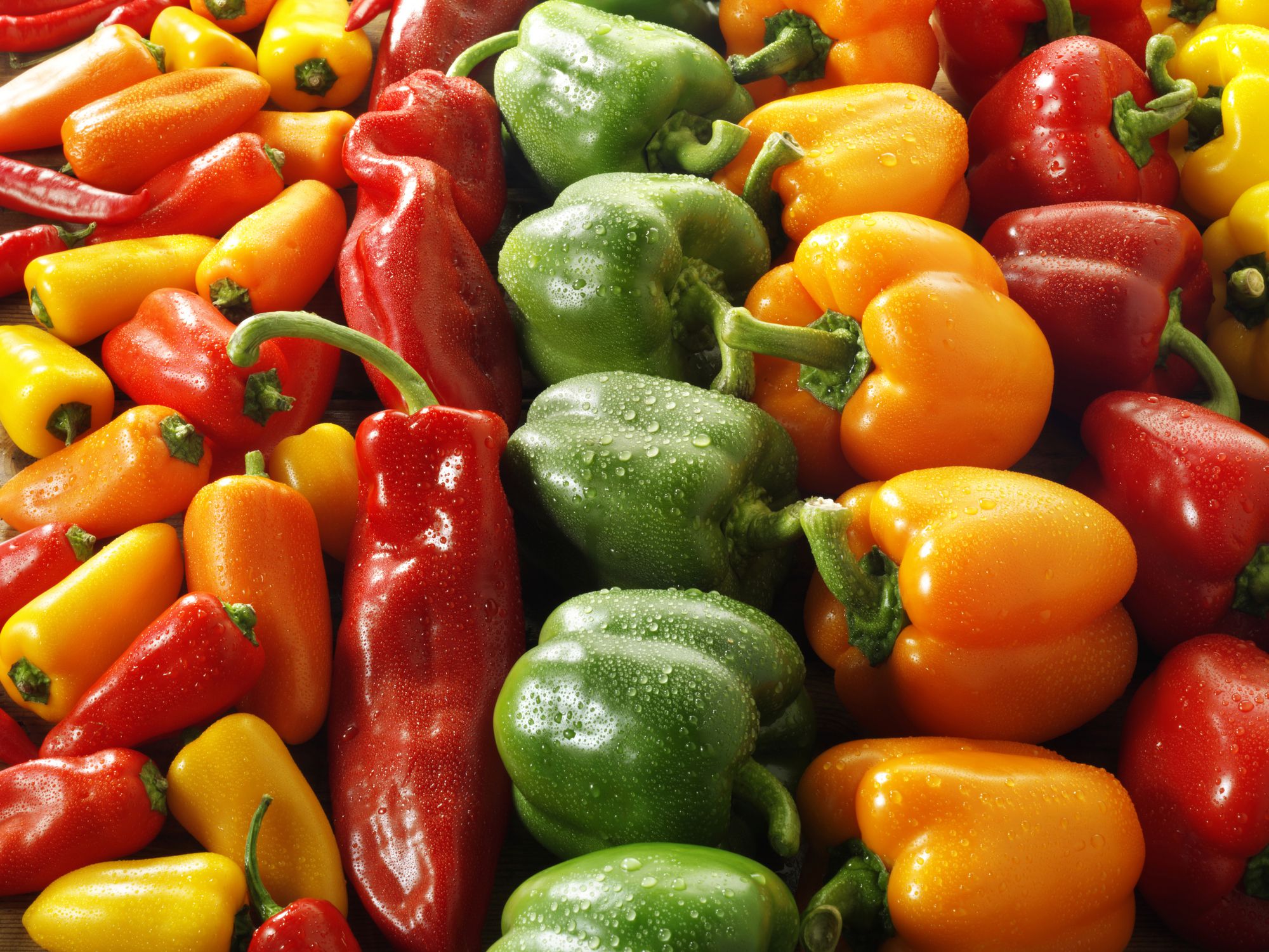 Paprika
