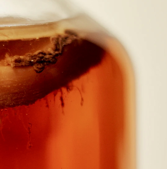 Fermentering