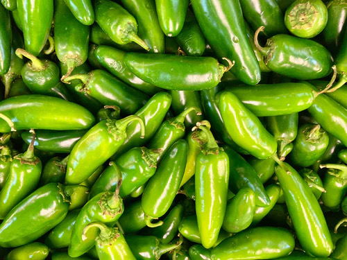 Capsicum Annuum