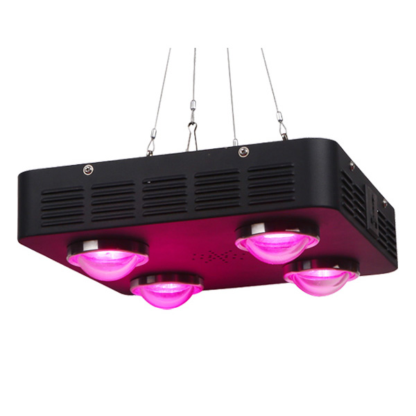 LED Växtbelysning
