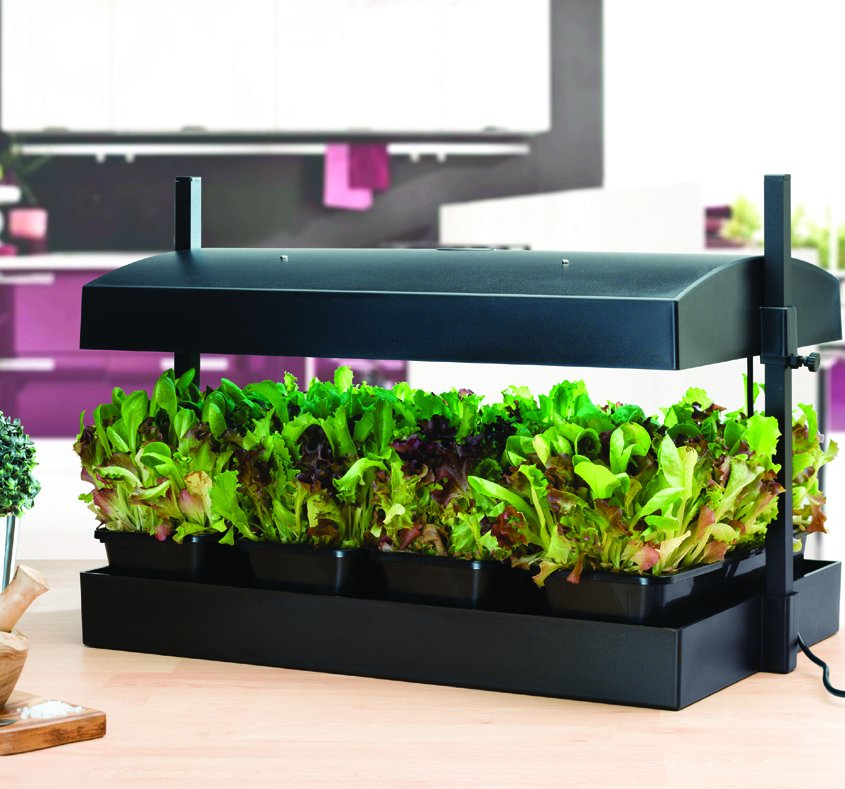 Odlingsstationer med belysning