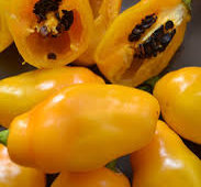 Capsicum Pubenscens