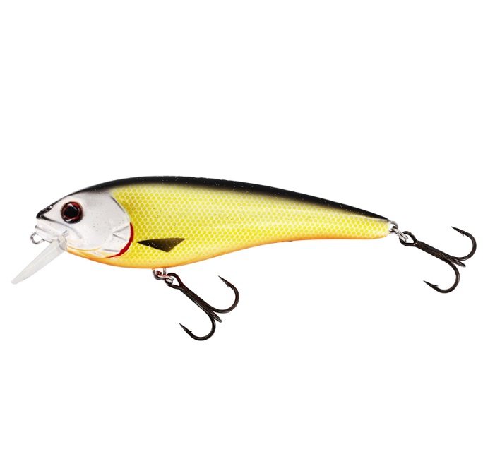 Westin Rawbite 15cm/61g - 3