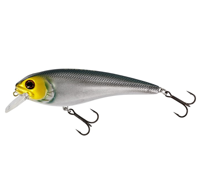 Westin Rawbite 15cm/61g - 6
