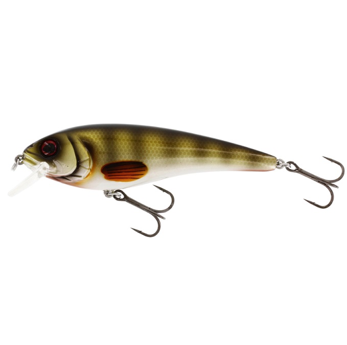 Westin Rawbite 17cm/100g - 5