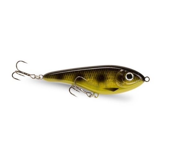 Baby Buster Spotted Bullhead