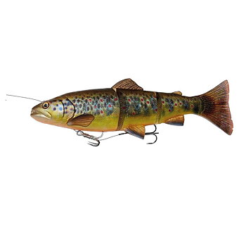 4D Line Thru Trout 40cm/685g