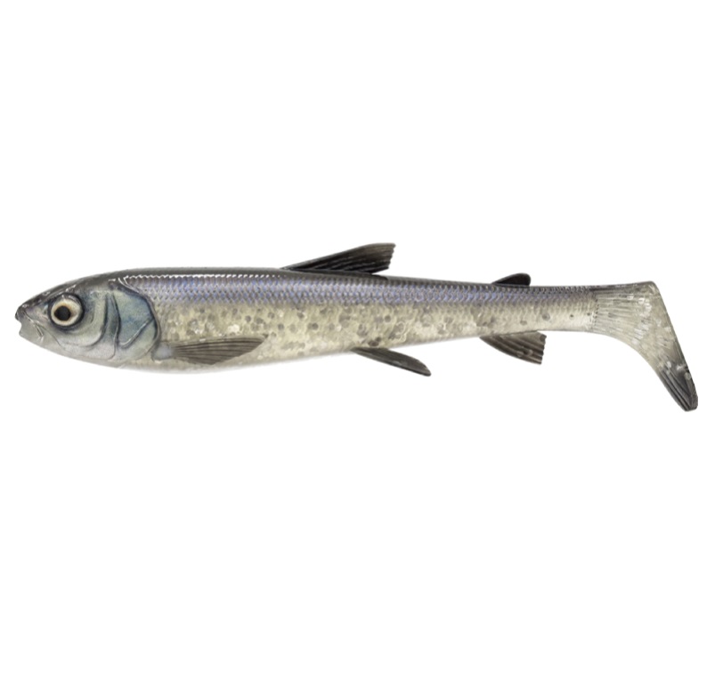 SavageGear 3D Whitefish Shad 27cm/152g - 18