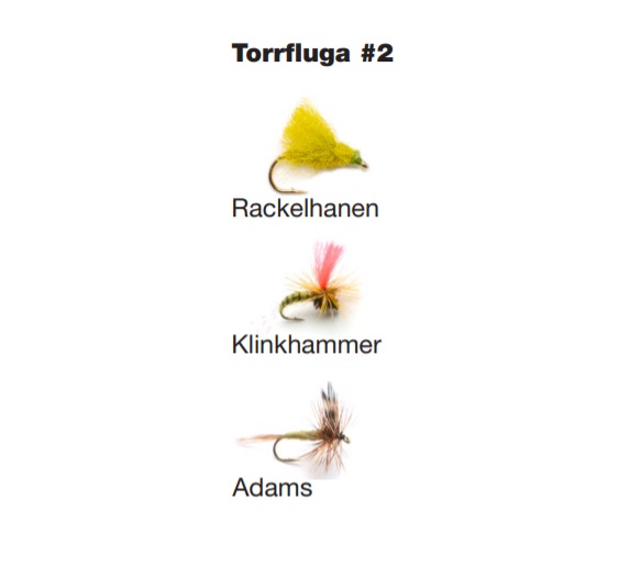 Darts Flugkast - 3