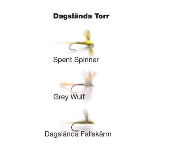 Darts Flugkast - 9