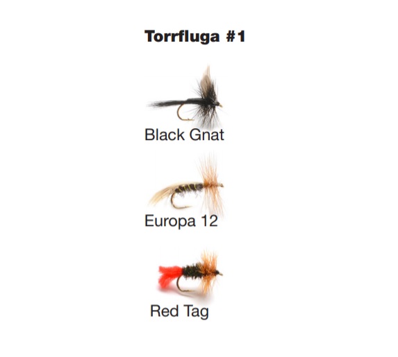 Darts Flugkast - 2