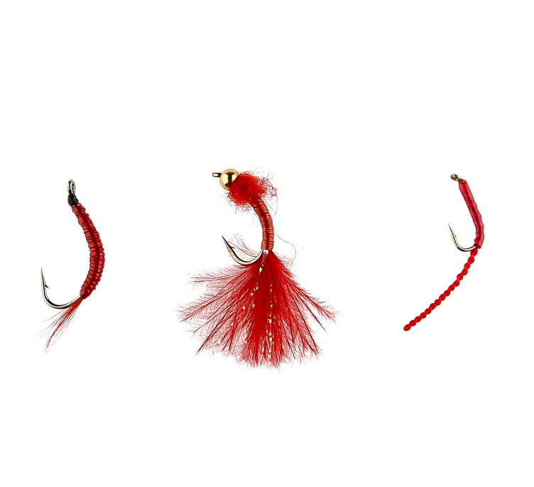 Ifish Bloodworms 3-pack