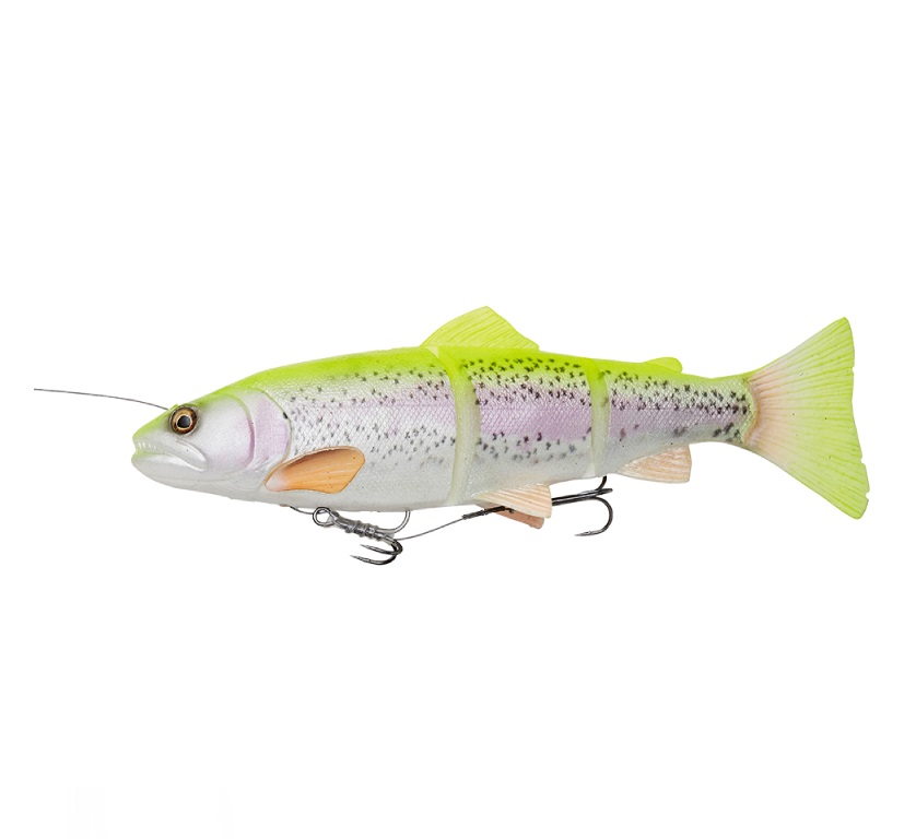 4D Line Thru Trout 25cm/180g - 3