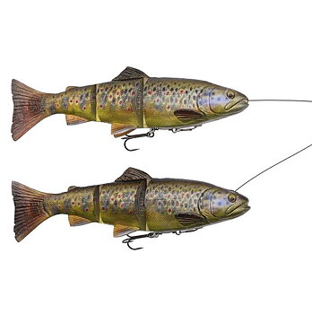 4D Line Thru Trout 25cm/180g