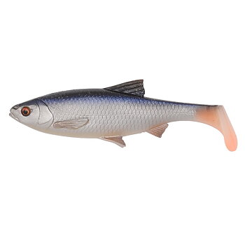 3D River Roach Roach