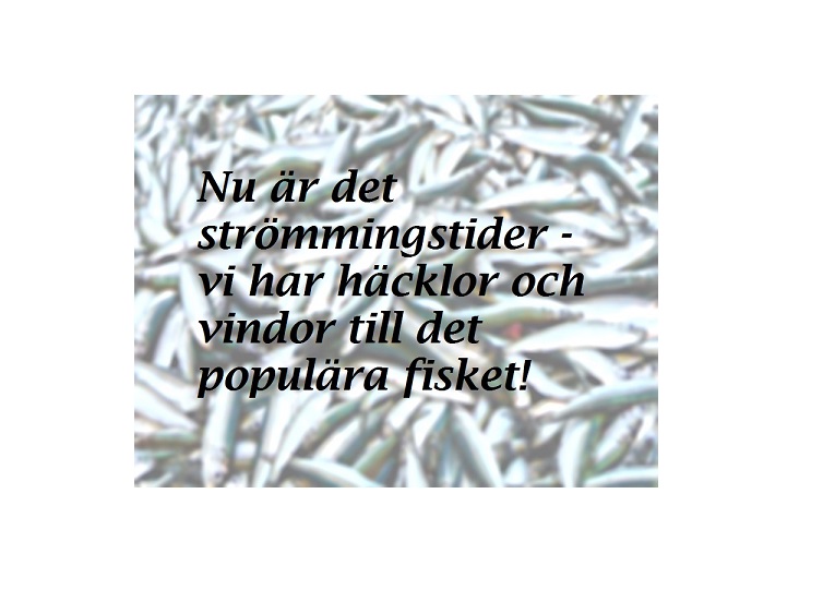 Strömmingen går till!  