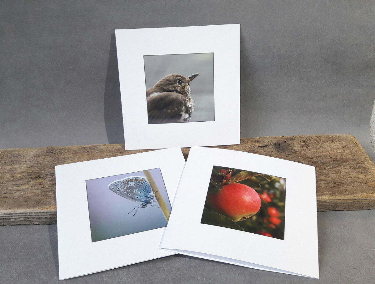 Photo greeting card