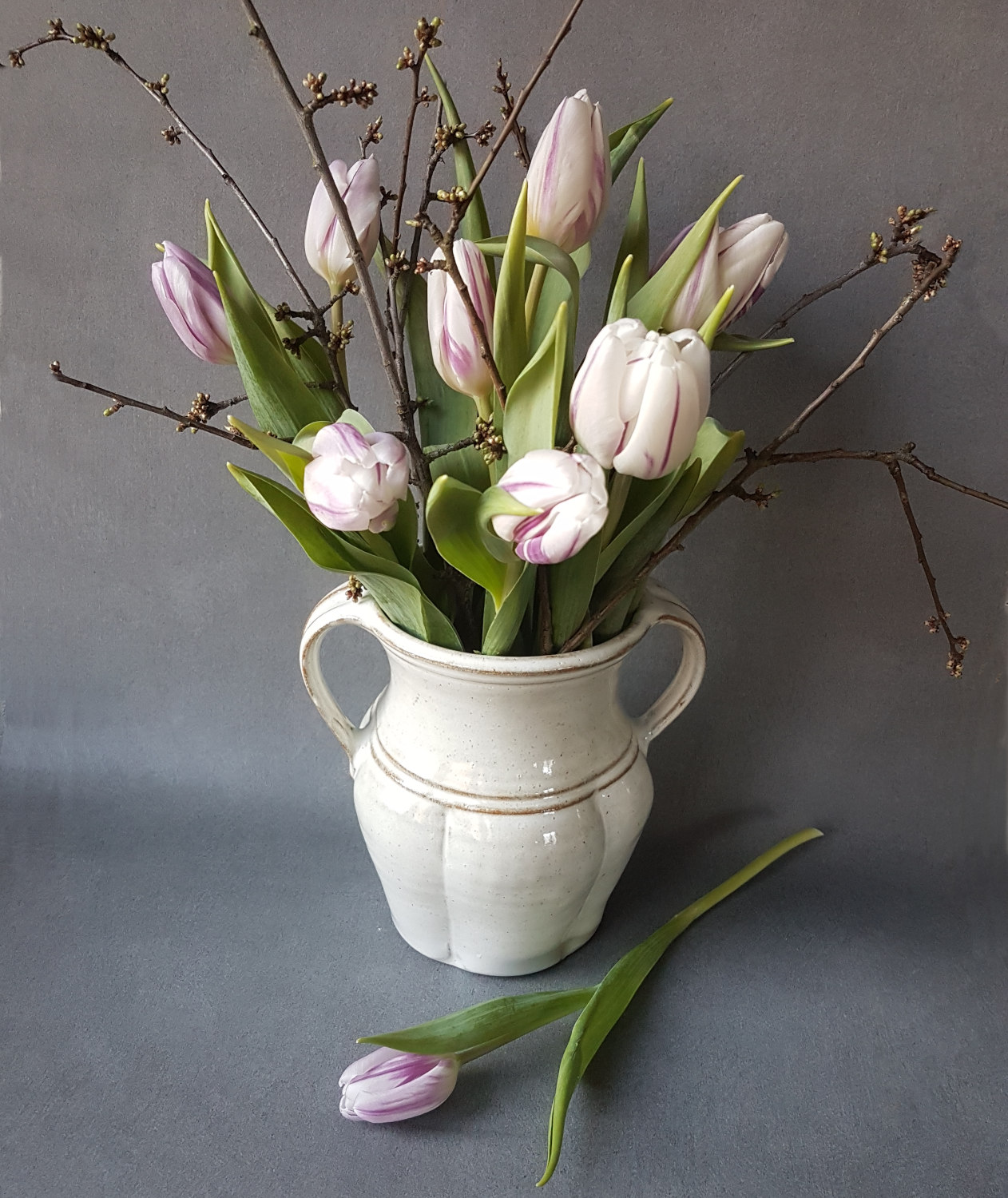 Tulip jar with handles - 2