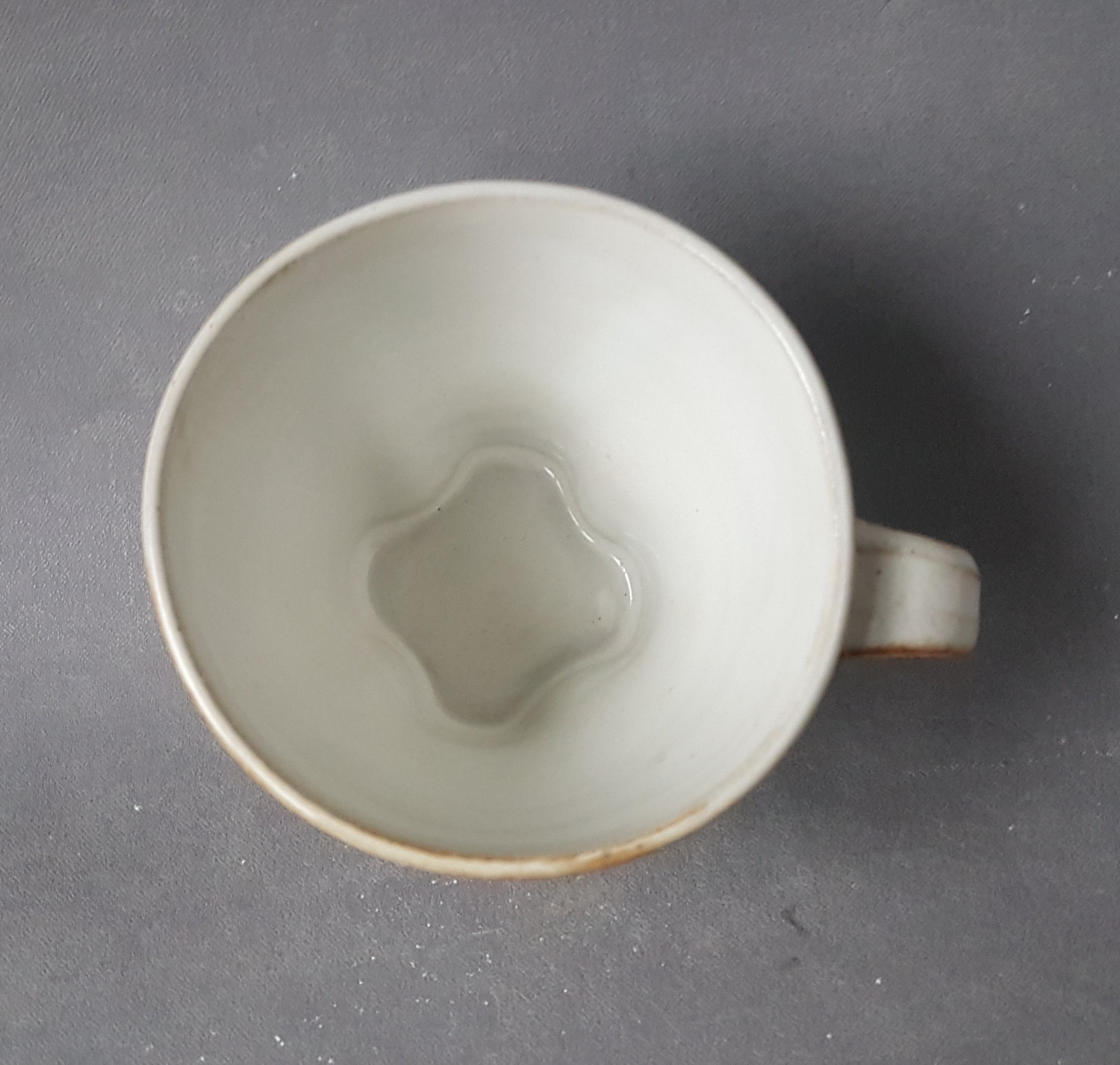 Coffecup bluewinged - 6