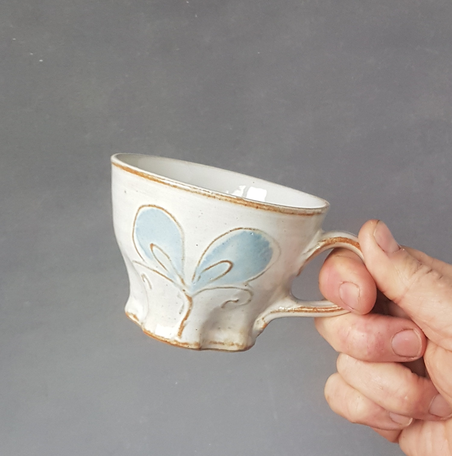 Coffecup bluewinged - 3