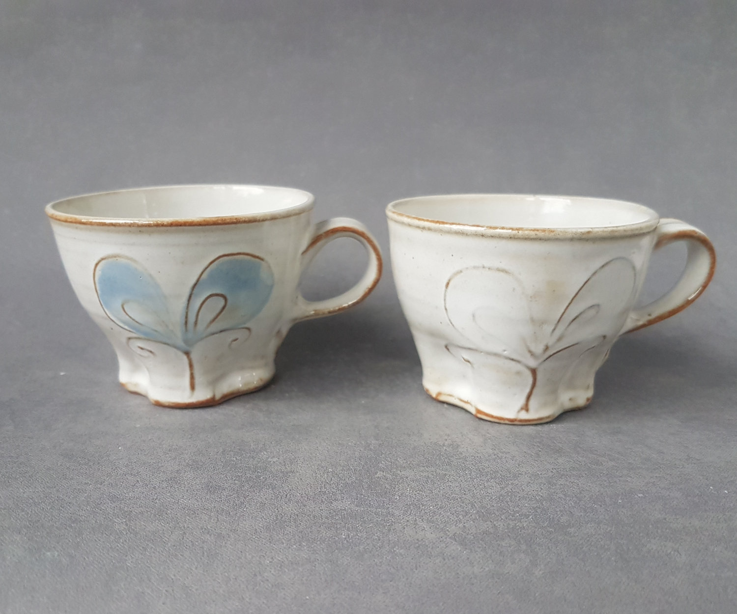 Coffecup bluewinged - 2