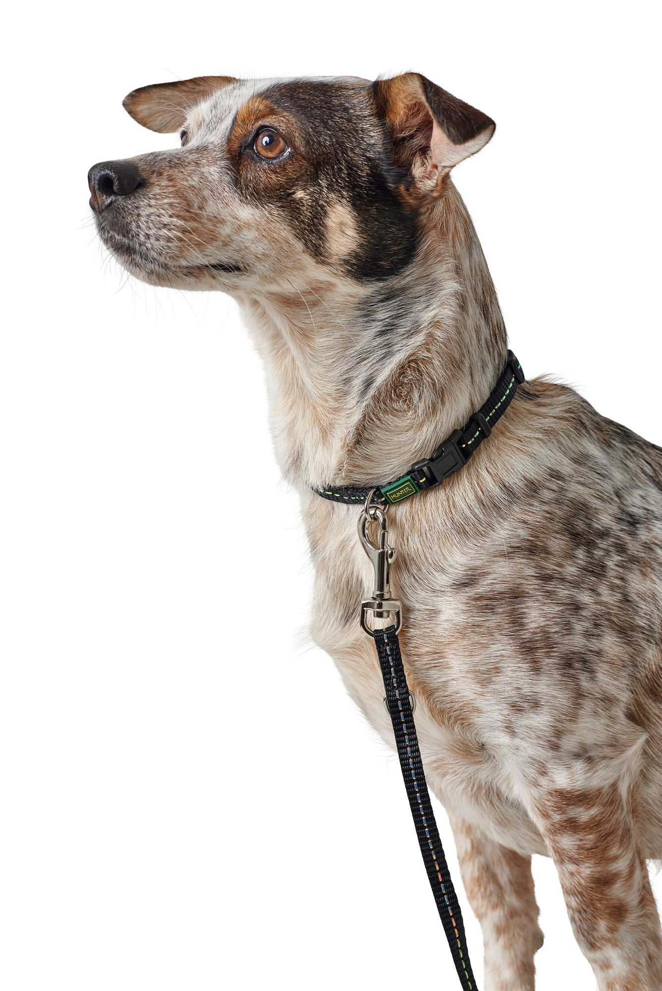 HUNTER Tripoli halsband svart
