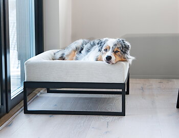 Bia Air - benställning till Bia